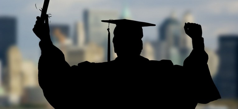 Qual carreira devo seguir?