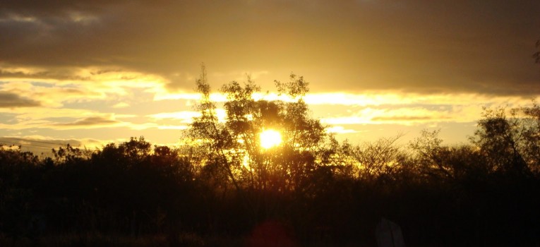 Cuidado, a grama do outro nem sempre é mais fresca