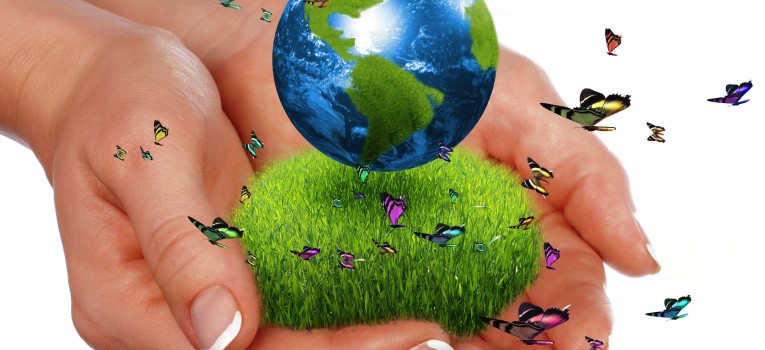 Educação Ambiental, uma lição para a vida