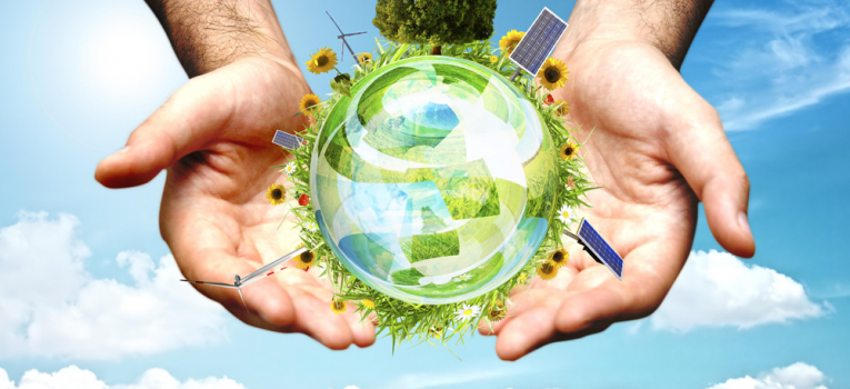 Sustentabilidade na Empresa