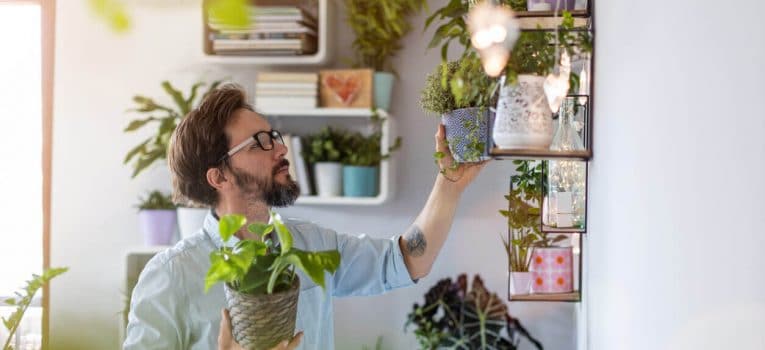 5 dicas de como cuidar de plantas em apartamento