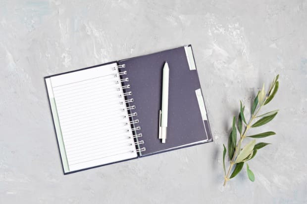 bullet journal para organização
